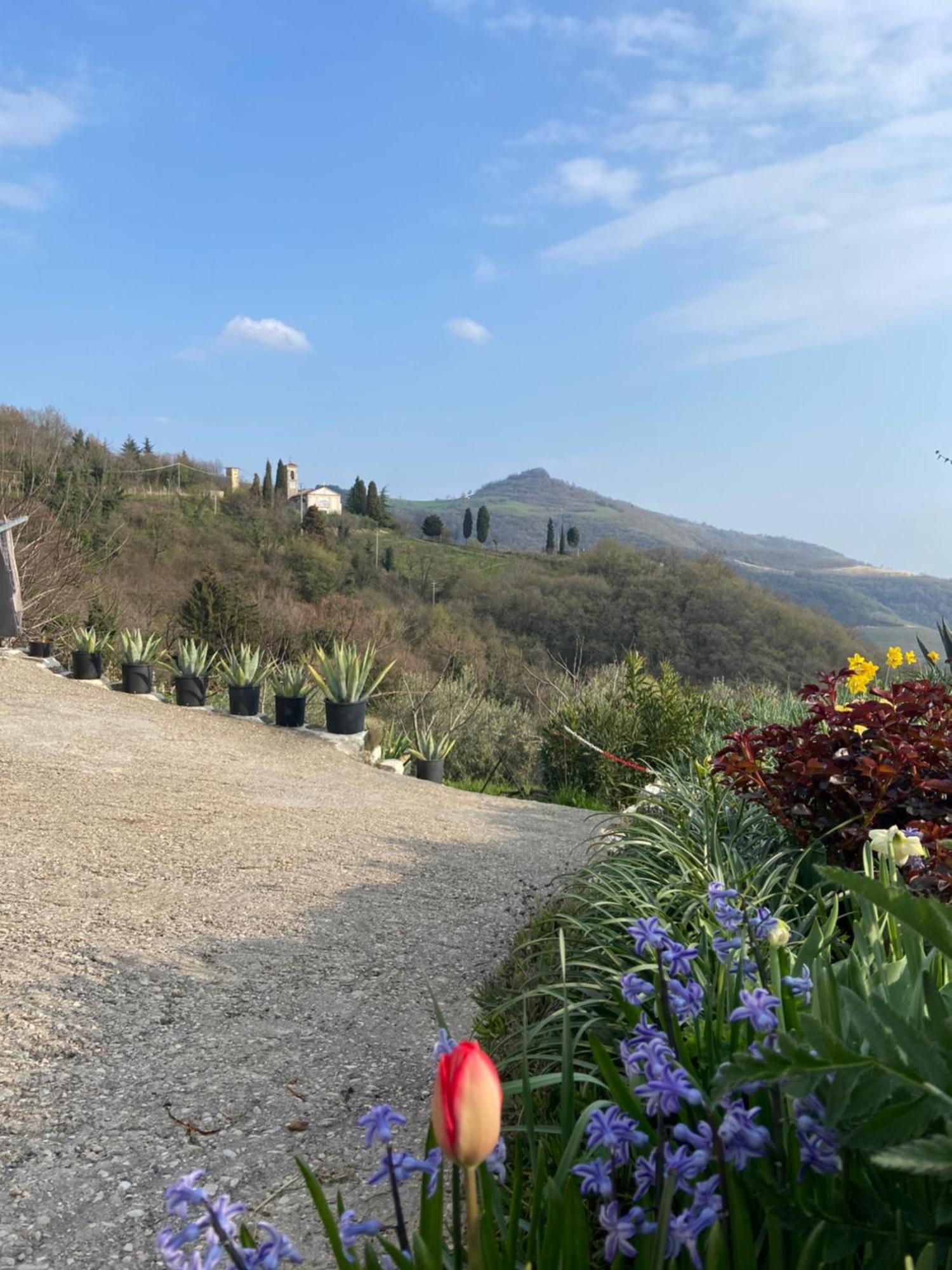 Casa Finetti Daire Casa Allegri Dış mekan fotoğraf